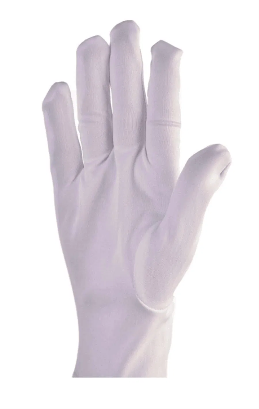 Beyaz Merasim, Bando ve Garson Eldiveni thumbnail 2